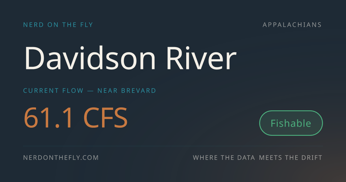 Davidson River Fly Fishing Conditions | Nerd on the Fly