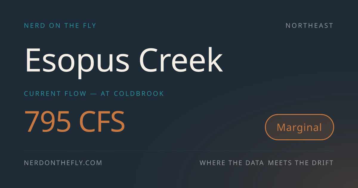 Esopus Creek Fly Fishing Conditions | Nerd on the Fly