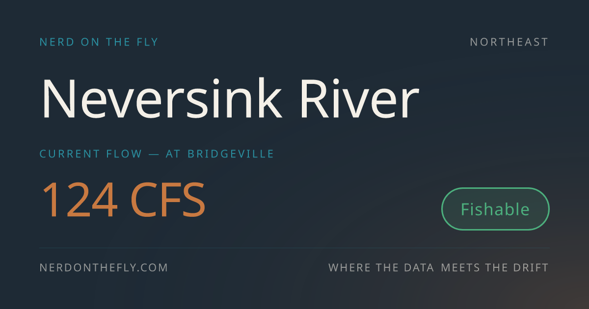 Neversink River Fly Fishing Conditions | Nerd on the Fly